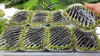 كيكه يوميه بالشوكولاته سريعه وعبقريه بالكوب والجرام❗وصفه في 5 دقائق للمبتدئين❗طريقه اسهل كيك يومي