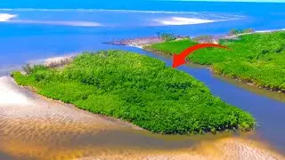 Sobrevivi com o que pesquei nessa ilha deserta (e fiz sashimi!)