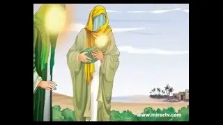 İmam Ali Rıza (a.s) Hayatı