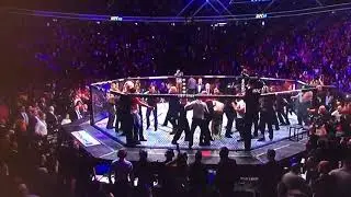 Fight after UFC229 main event!
