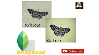 Best mobile photo Editing software ,Snapseed Photo Editing app