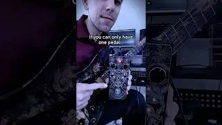 WOW! This is incredible! 🤯 Beetronics Abelha Tropical Fuzz 🌴🐝 