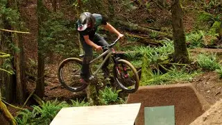 Springtime Island Session #1