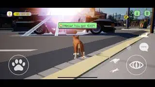 iOS — A Cat’s Tale