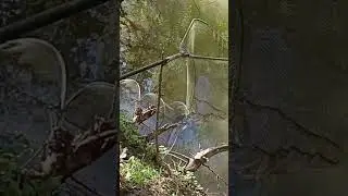 хоть сезон открыл...