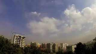 собака сбила коптер