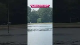 ಪ್ರಕೃತಿ ನಾವು ಬಂದ ದಾರಿಯನ್ನು ನೆನಪಿಸುತ್ತದೆ.. ಬೇರುಗಳು ಯಾವಾಗಲೂ ಬಲವಾಗಿರುತ್ತವೆ 