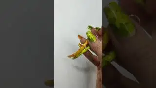 #накладныеногти