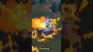 I USED THIS ON THE TRANSMUTER Genshin Impact 