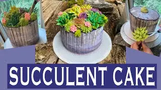 How to make a cake with buttercream Succulents. Chocolate cake, that looks like pottery for plants.