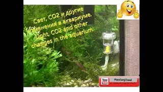 Свет, СО2 и другие изменения в аквариуме