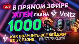 Voltz забираем все бейджи во втором сезоне