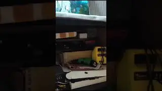 Котëнок в семье 💓 ему уже 2 месяца!