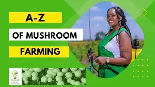 A-Z of Mushroom Farming | Farmer on Fire