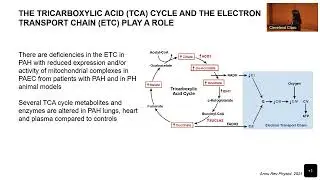 Heterogeneity of Metabolic Endo-Phenotypes of PAH - Samar Farha, MD
