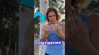 🏆 Набивал Стальные Кулаки 7 Дней | ЭКСПЕРИМЕНТ👊