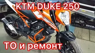 KTM Duke 250 ТО и ремонт !