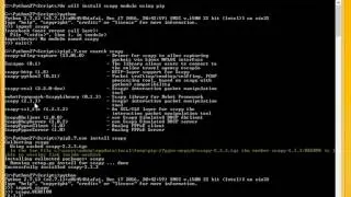 Install or uninstall python package using pip
