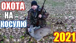 Охота на косулю / Долгожданный трофей!
