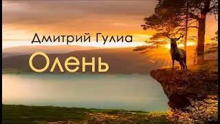 Олень.  Красивые стихи. Автор Дмитрий Гулиа. Читает Елизавета Зима.#стихи#стихиолюбви#красивыестихи