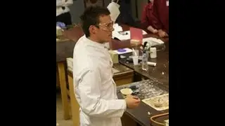 Mr Hesford Live Stream