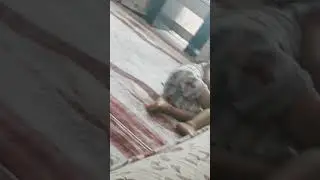 22 Ağustos 2023