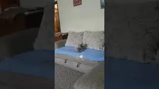 25 ноября 2018 г.