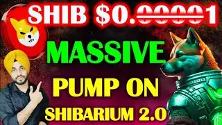 🚨SHIB PUMP ALERT: SHIB BURN 10X | SHIBASWAP 2.0 LAUNCH | Shiba Inu $1 big rally coming DECEMBER 2024