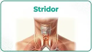 Stridor 🗣️ 🔊 : ENT Lectures