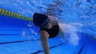 EVERYDAY WETNESDAY LIVE ANIMATION. How To Swim 100m Freestyle. Bubbles the nose. RUFINA