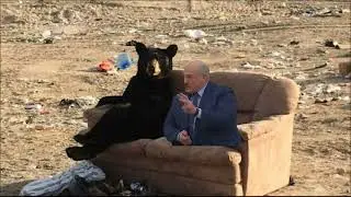Лукашенко с медведем на мусорке
