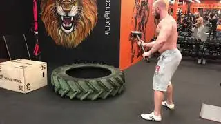 LionFitness
