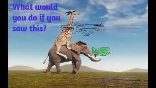 What would YOU do if you SAW this?