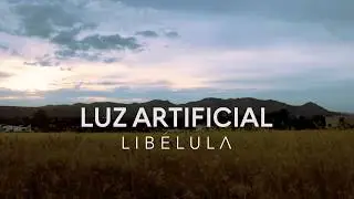 Libélula - Luz Artificial (Lyric Video)