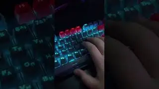 Я — ЗАЛИП