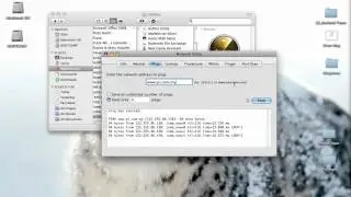Ping and IP Config in Mac