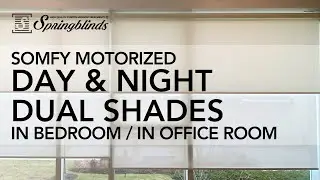 SPRINGBLINDS: SOMFY Motorized Day & Night Dual Shades -  Product Demo