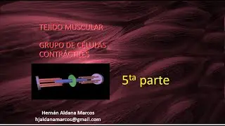 Tejido muscular  quinto video de 9. Hernán Aldana Marcos.