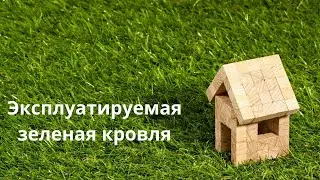 Как устроена зеленая эксплуатируемая кровля