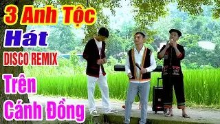3 ANH TỘC HÁT TRÊN ĐỒNG LÚA - LK Nhạc Vùng Cao Disco Remix - Nhạc Sống Disco 3 Anh Tộc Căng Vỡ Loa