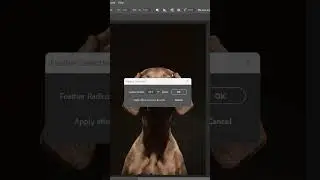 How to Create a Spotlight Effect in Photoshop! (Easy Tutorial)