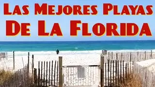 Las Mejores Playas De La Florida 2023