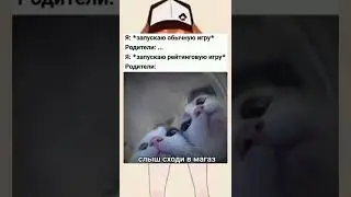 Я не знаю номер мема