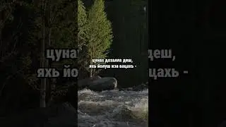 14. Даймахках лаьцна. ГIиллакхийн хазна – Ирсан некъаш