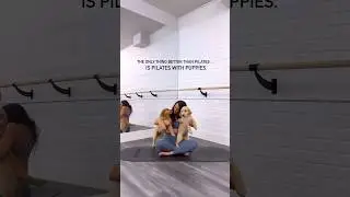 Pilates with puppies! Meet Willow & Brody!  #pilates #puppy #puppies #barre