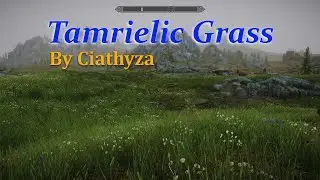 Skyrim SE: Tamrielic Grass