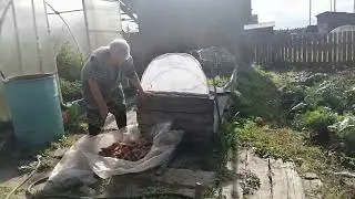 деревня