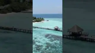 Maldive