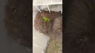 How did he not crash? 