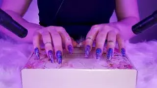 ASMR Gentle Tapping for Sleep on Hollow Items 🌙(No Talking)💤